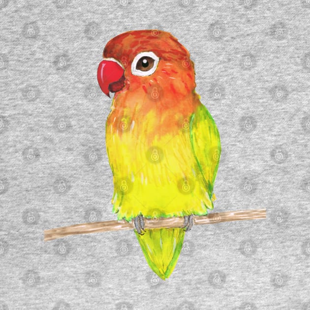 Cute yellow Fischer's lovebird by Bwiselizzy